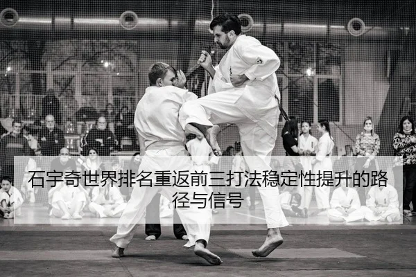 石宇奇世界排名重返前三打法稳定性提升的路径与信号